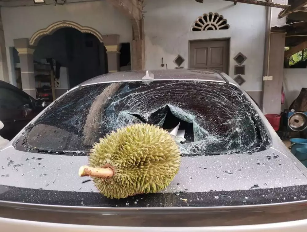 durian viral 1,7 juta © Facebook