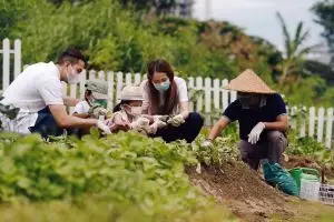 The Westin Surabaya donasi makanan sehat dari hasil kebun sendiri