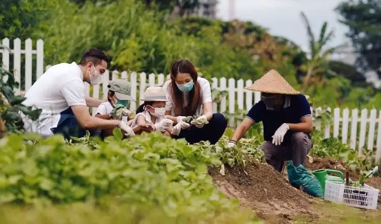 The Westin Surabaya donasi makanan sehat dari hasil kebun sendiri