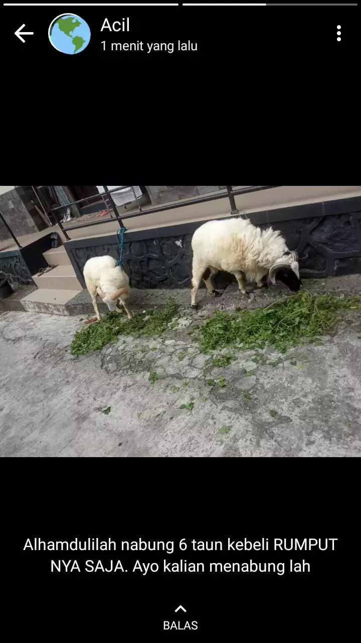 caption status WhatsApp © Twitter caption status WhatsApp © Twitter