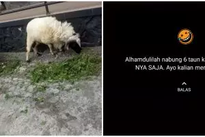 11 Status WhatsApp lucu ini captionnya penuh plot twist