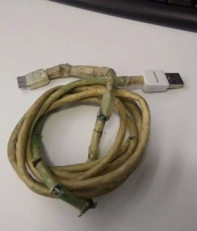 pakai barang rusak absurd © 2021 1cak.com pakai barang rusak absurd © 2021 1cak.com