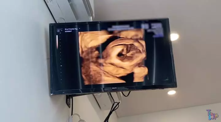 momen gender reveal party nola b3 © YouTube