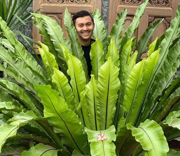 Potret Anjasmara pose dengan tanaman © Instagram/@anjasmara Potret Anjasmara pose dengan tanaman © Instagram/@anjasmara