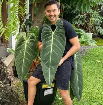 Potret Anjasmara pose dengan tanaman © Instagram/@anjasmara Potret Anjasmara pose dengan tanaman © Instagram/@anjasmara