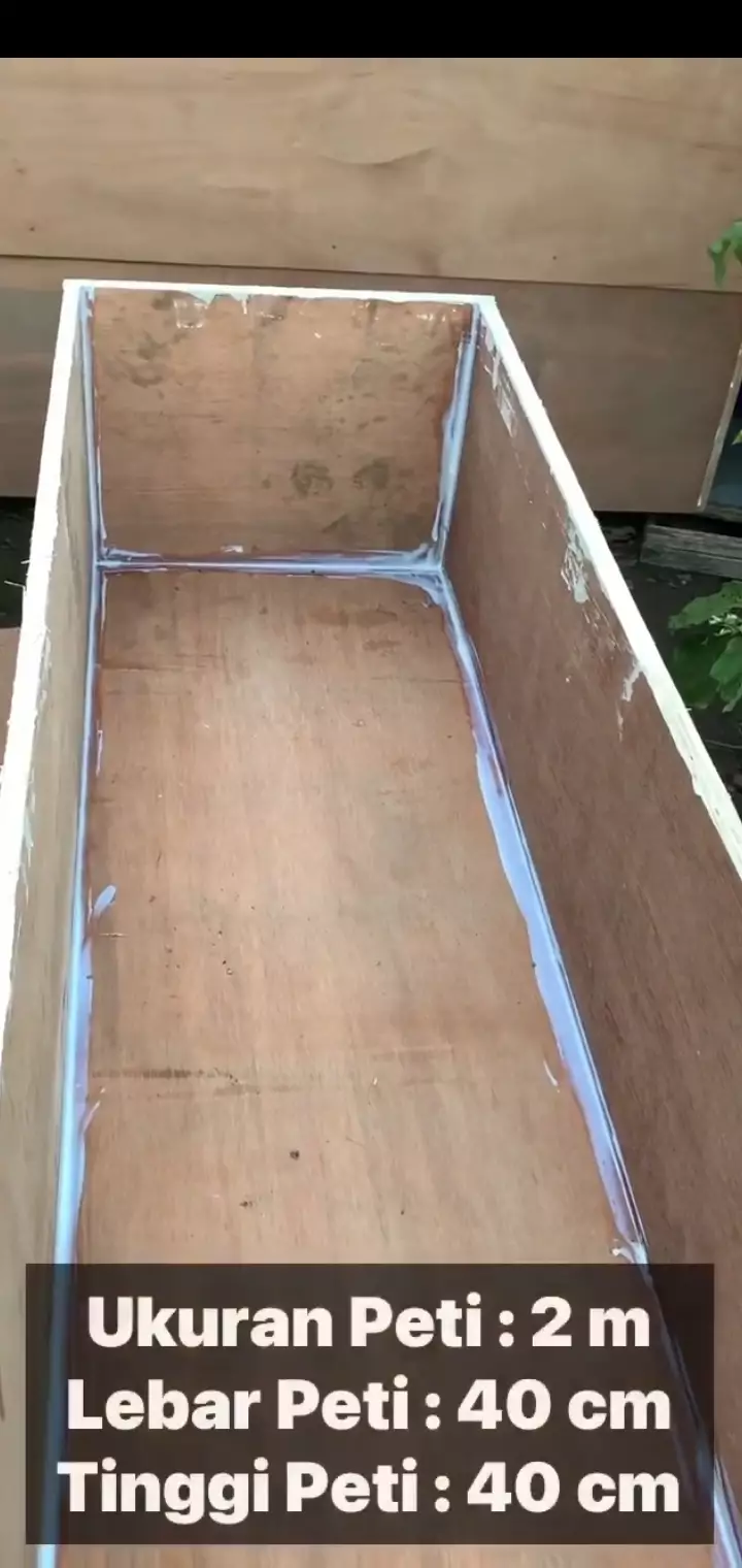 Bob Bee Builder sumbang peti © Instagram