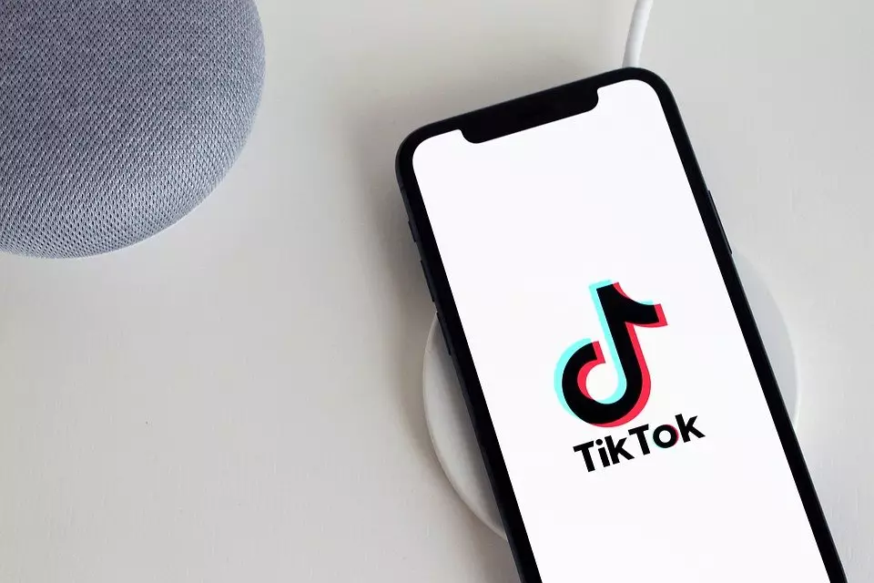 menghilangkan watermark di TikTok © berbagai sumber