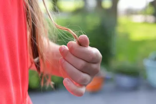 Manfaat kayu manis untuk rambut pexels.com Manfaat kayu manis untuk rambut pexels.com