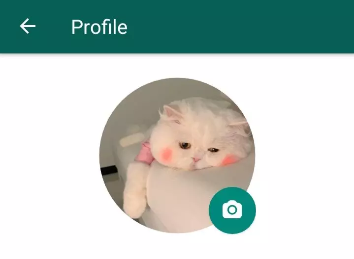 Foto profil lucu di WA © berbagai sumber