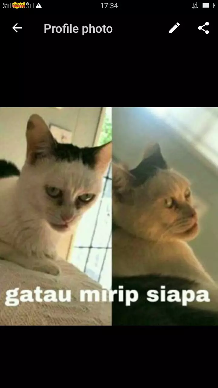 Foto profil lucu di WA © berbagai sumber