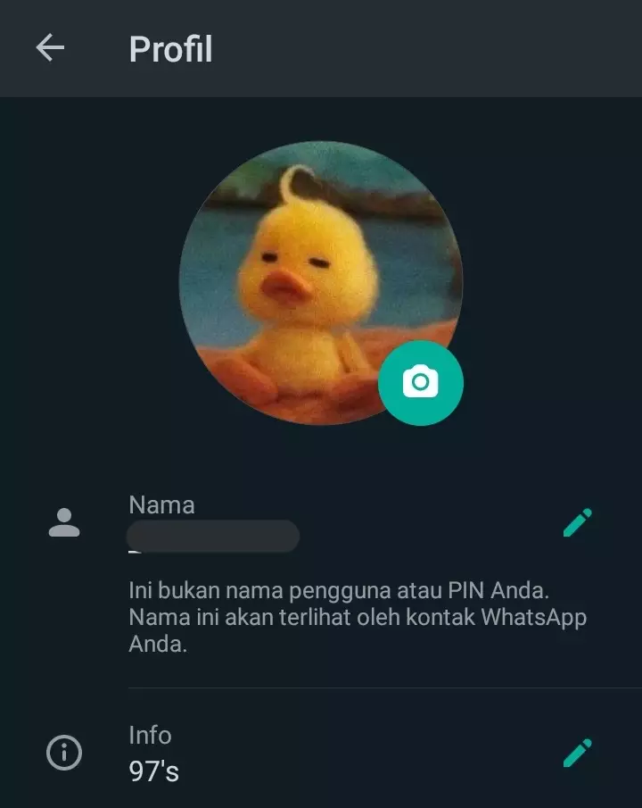 Foto profil lucu di WA © berbagai sumber