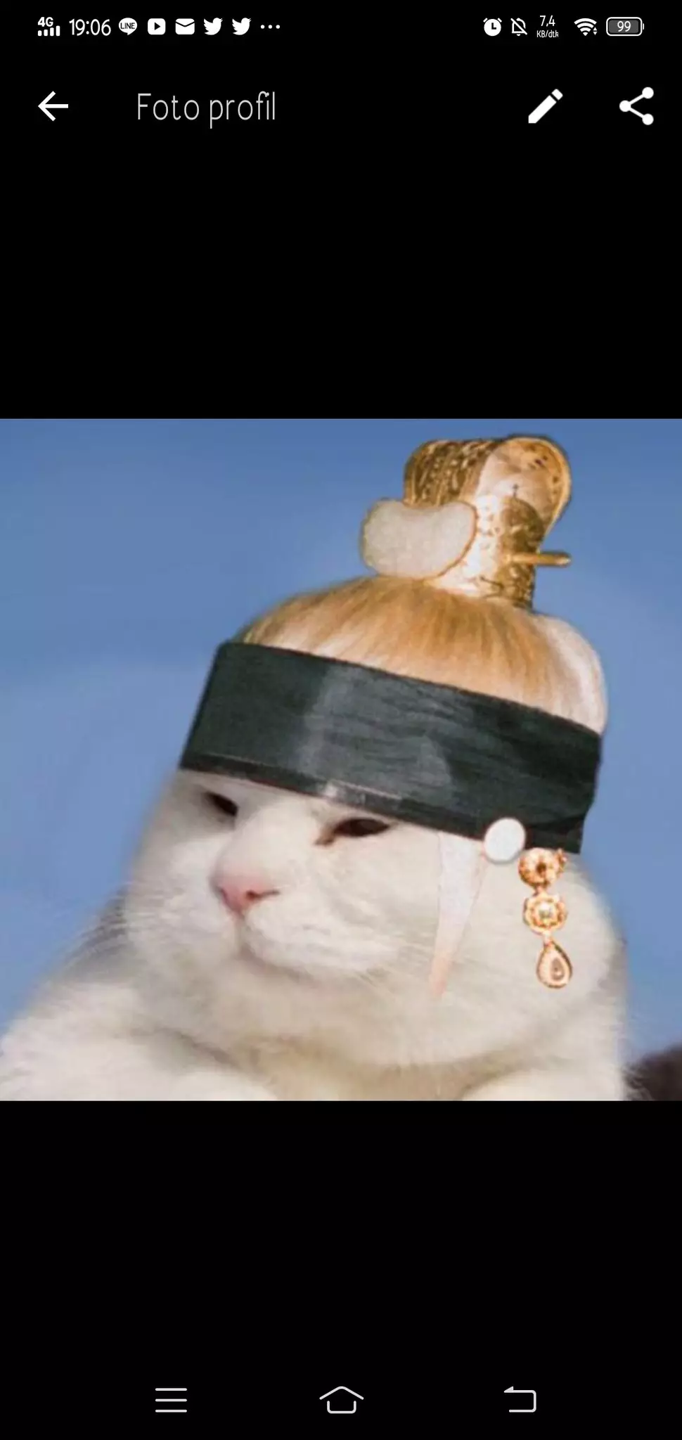 Foto profil lucu di WA © berbagai sumber