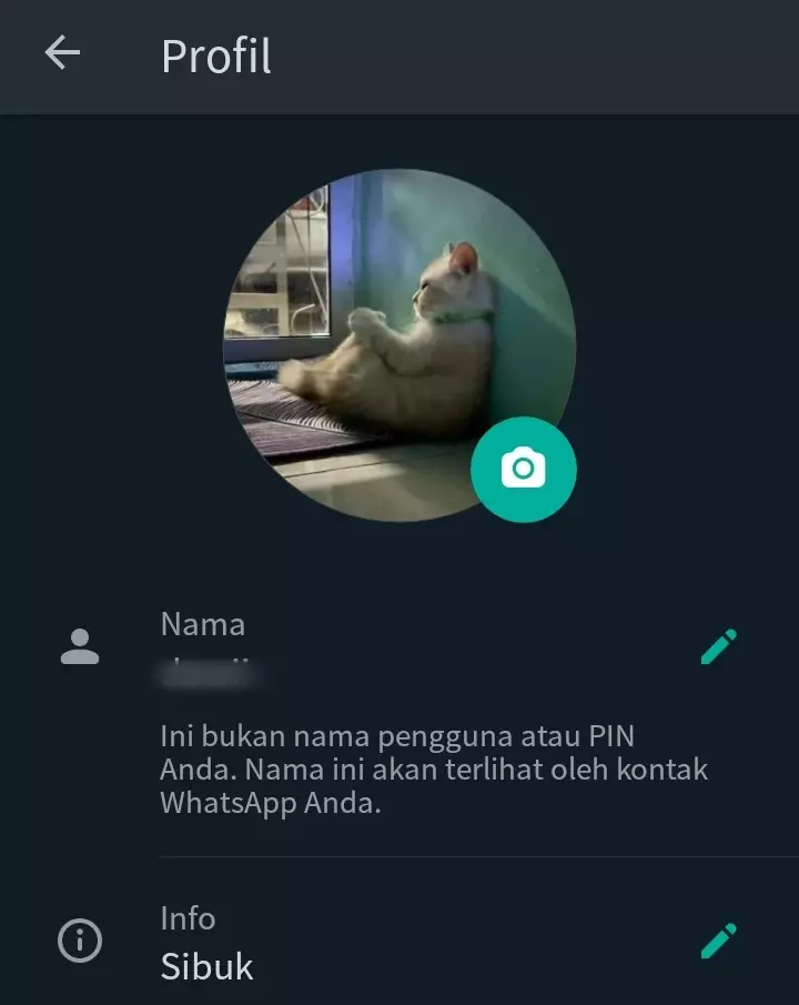 Foto profil lucu di WA © berbagai sumber
