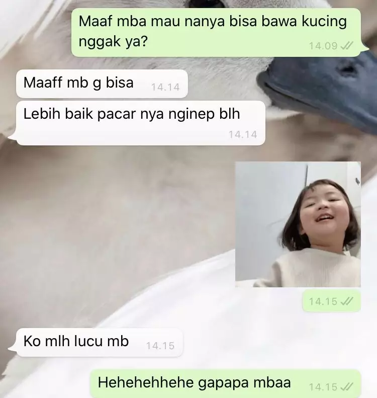 Balasan chat lucu dari pemilik kos © Twitter