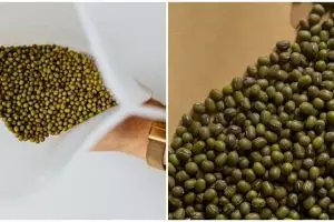 11 Manfaat kacang hijau untuk anak, menjaga daya tahan tubuh