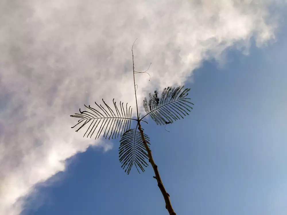 Teknik transisi camera © 2021 brilio.net