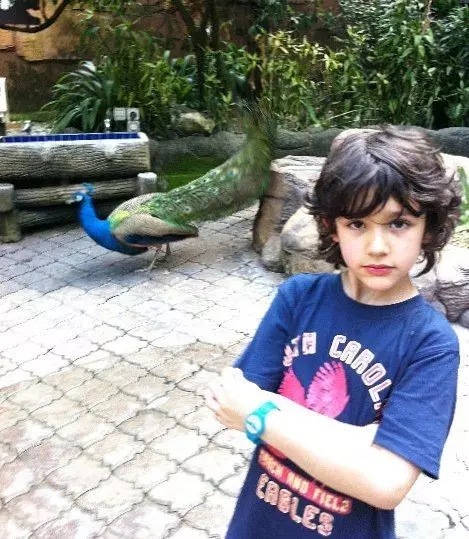 Potret masa kecil pesinetron pria blasteran dari berbagai sumber