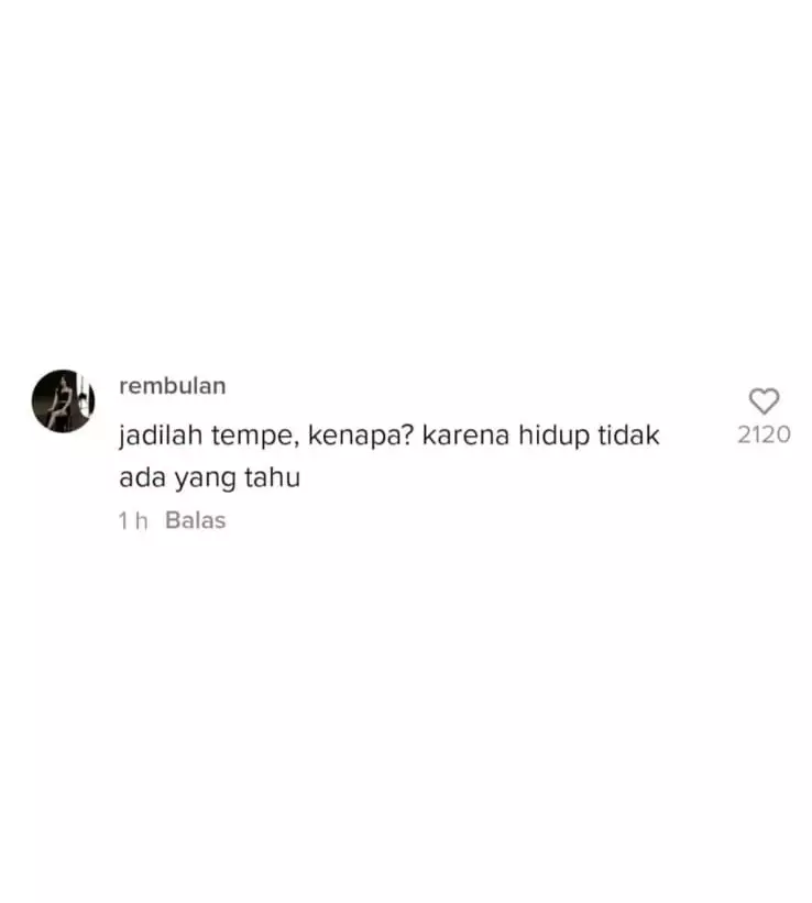komentar tiktok lucu © 2021 berbagai sumber