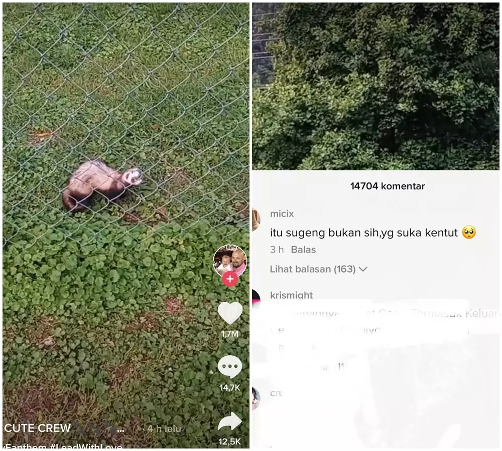 komentar tiktok lucu © 2021 berbagai sumber