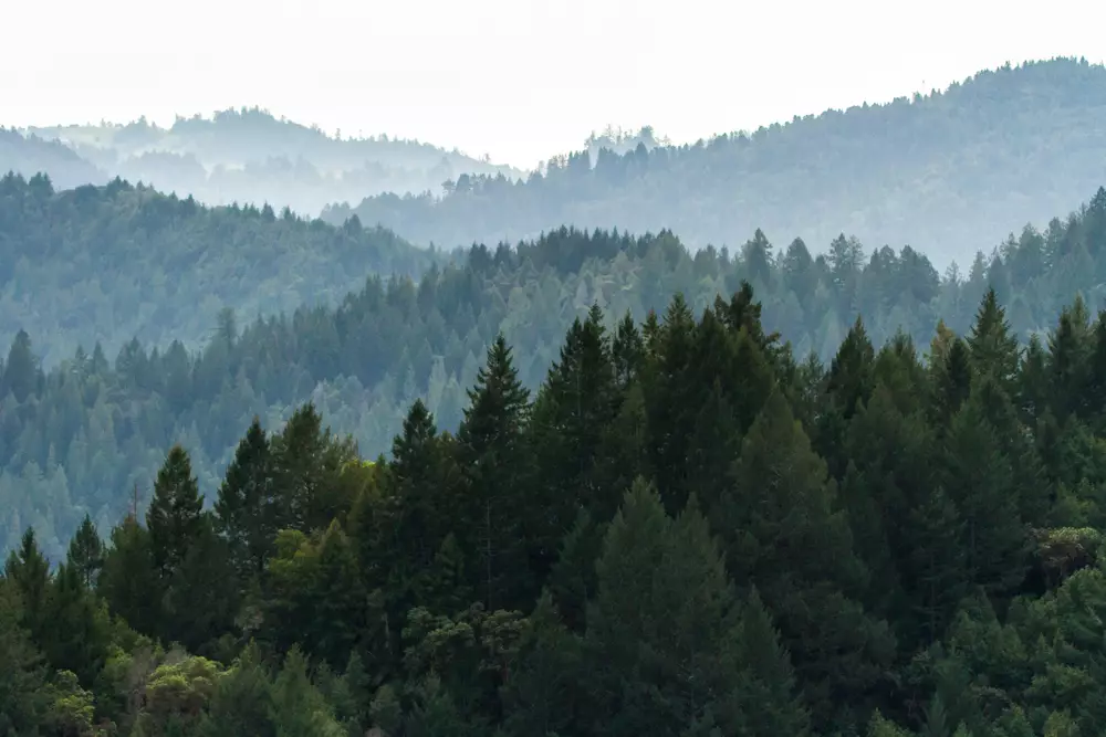 Teknik komposisi street photography © 2021 berbagai sumber