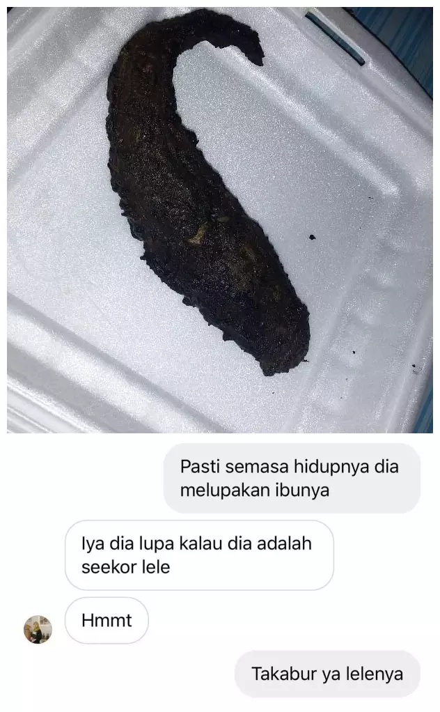 Review lucu makanan © berbagai sumber
