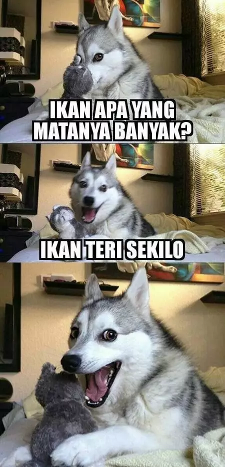 Tebak-tebakan lucu buat status medsos © Istimewa