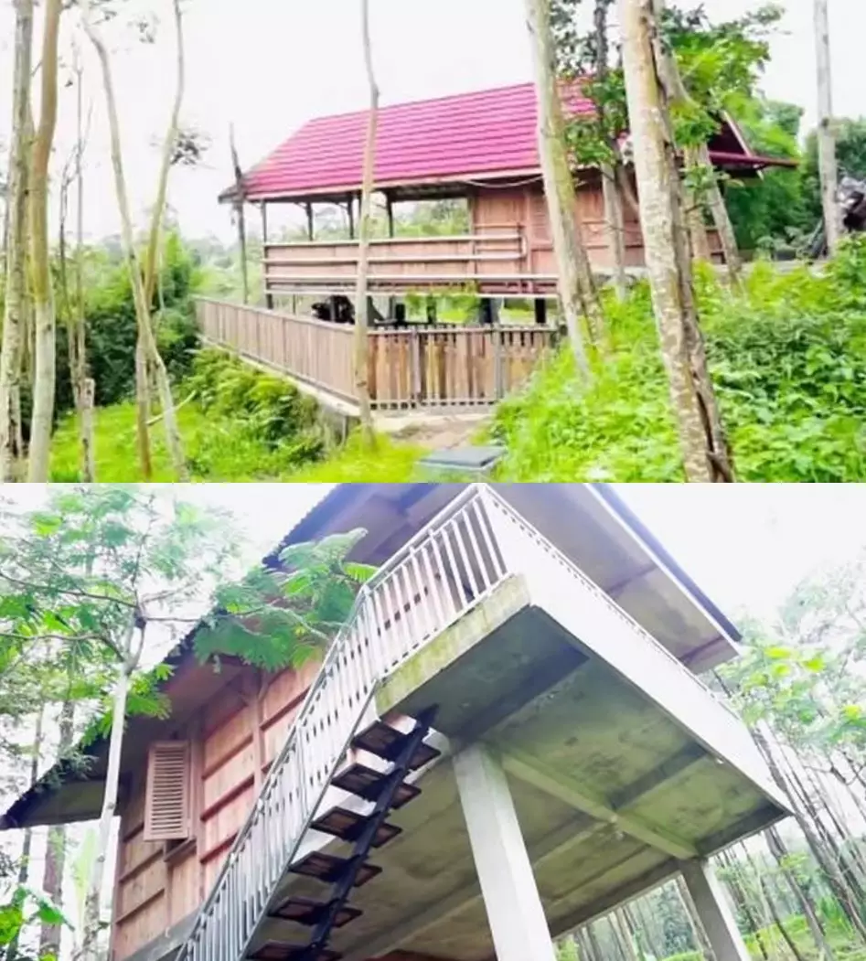 rumah seleb di tengah hutan © 2021 brilio.net rumah seleb di tengah hutan © 2021 brilio.net