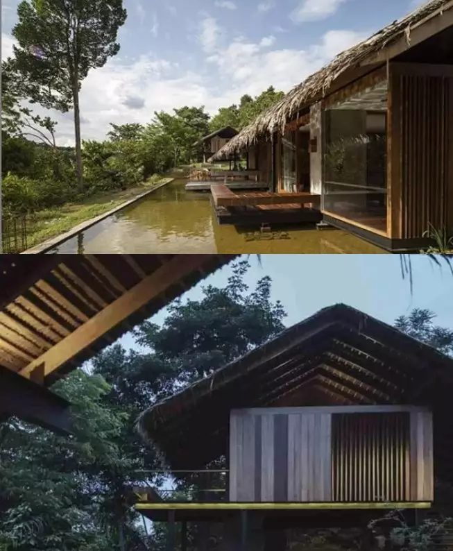 rumah seleb di tengah hutan © 2021 brilio.net rumah seleb di tengah hutan © 2021 brilio.net