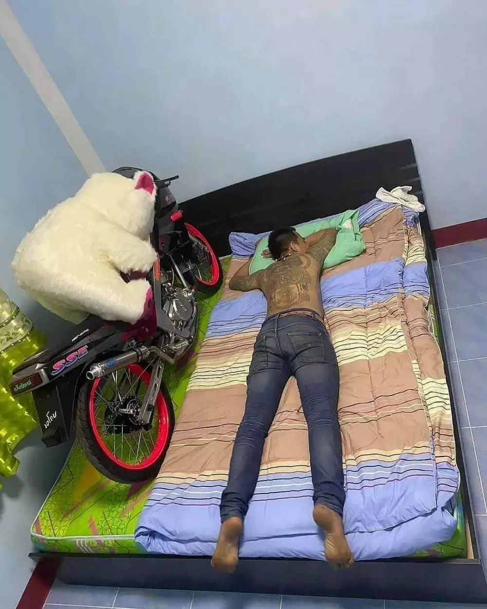orang tidur dengan benda kesayangan © 2021 brilio.net orang tidur dengan benda kesayangan © 2021 brilio.net
