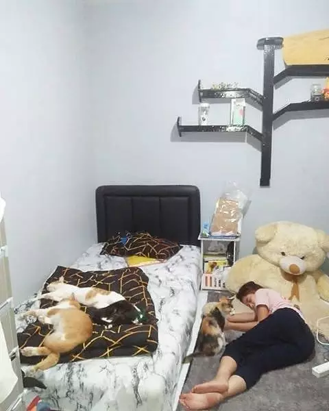 orang tidur dengan benda kesayangan © 2021 brilio.net orang tidur dengan benda kesayangan © 2021 brilio.net