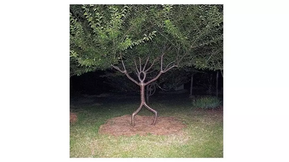 Potret tanaman di taman © Boredpanda