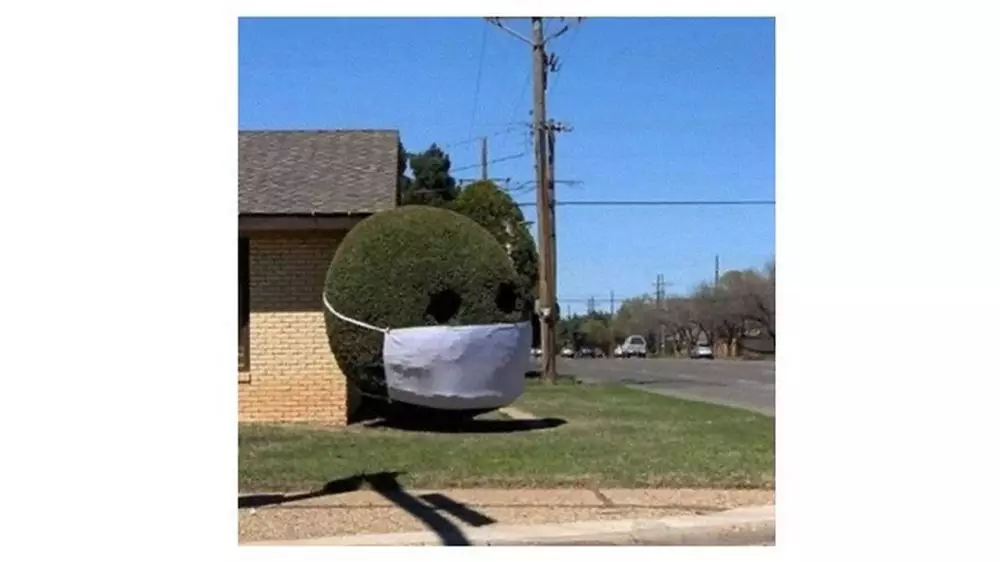 Potret tanaman di taman © Boredpanda