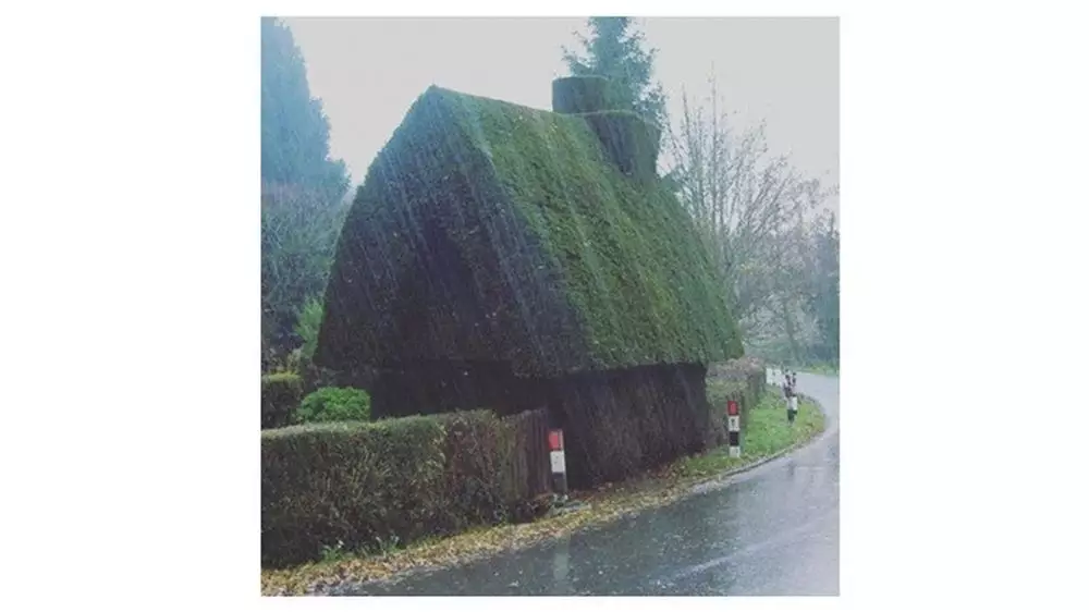 Potret tanaman di taman © Boredpanda