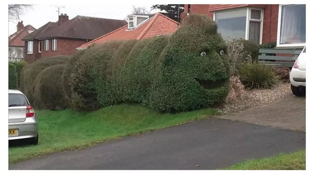 Potret tanaman di taman © Boredpanda