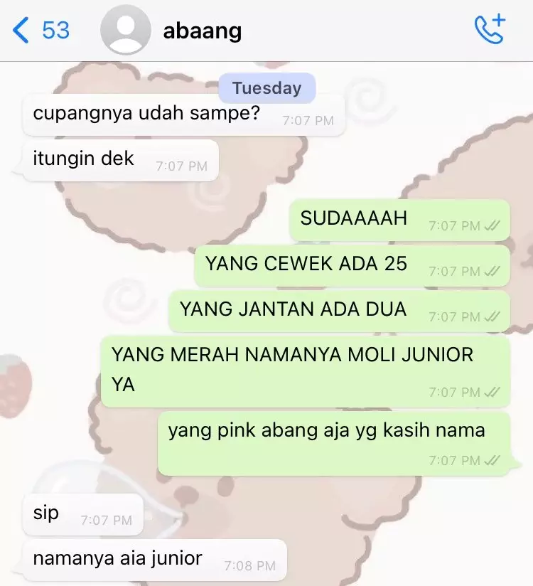 Chat kocak kakak adik © berbagai sumber