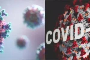 Pasien Italia ditemukan miliki antibodi Covid-19 pada Oktober 2019