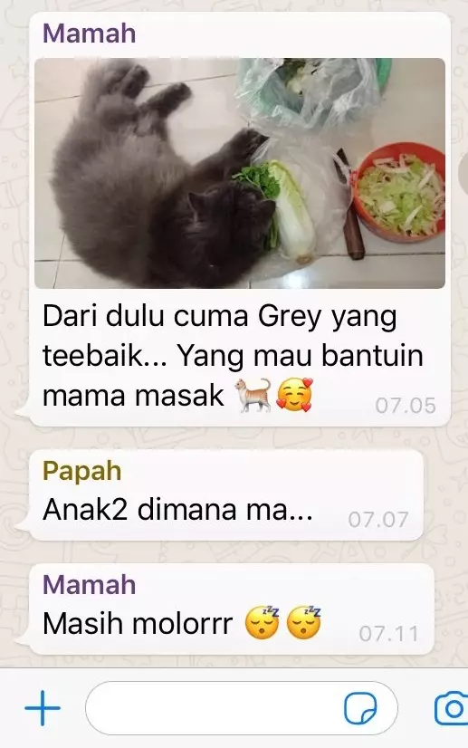 Chat lucu keluh kesah emak © berbagai sumber