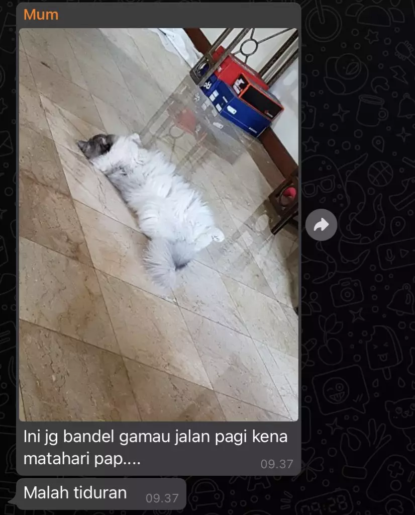 Chat lucu keluh kesah emak © berbagai sumber