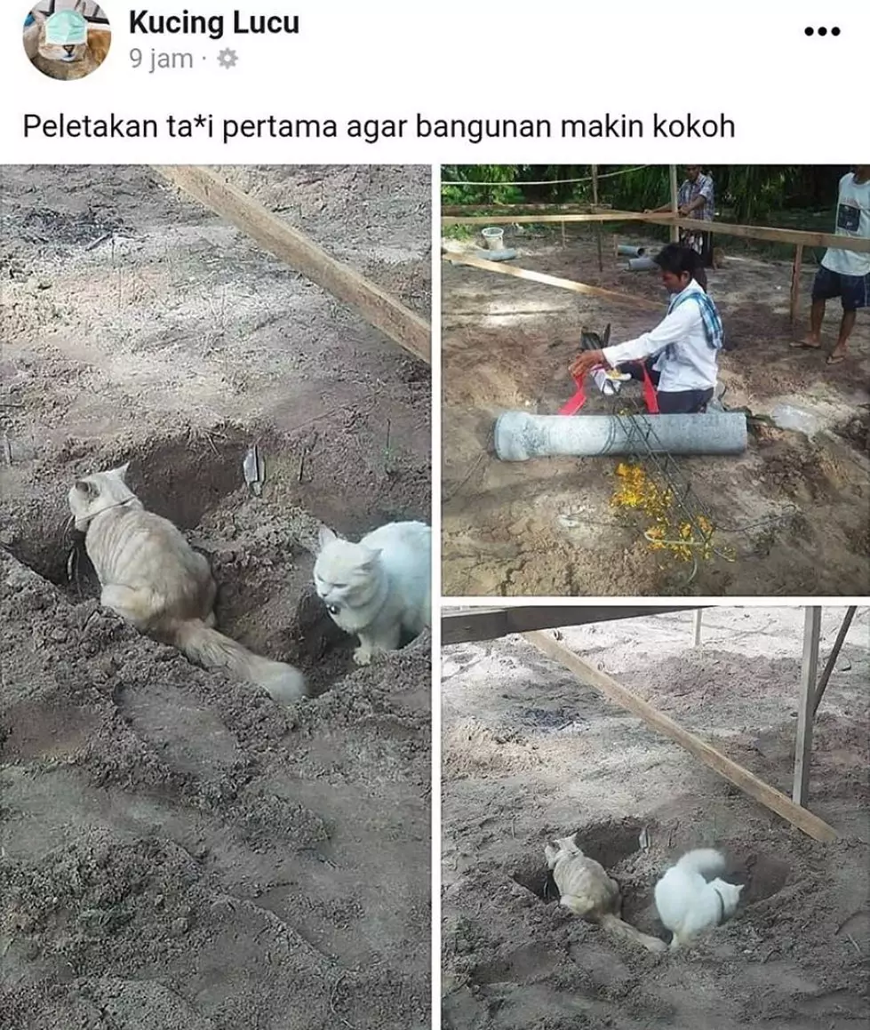 status facebook tukang bangunan © 2021 instagram.com