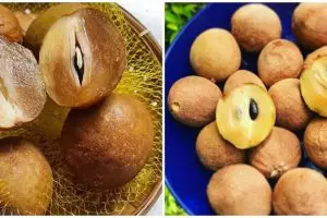 12 Manfaat buah sawo bagi kesehatan, baik untuk ibu hamil