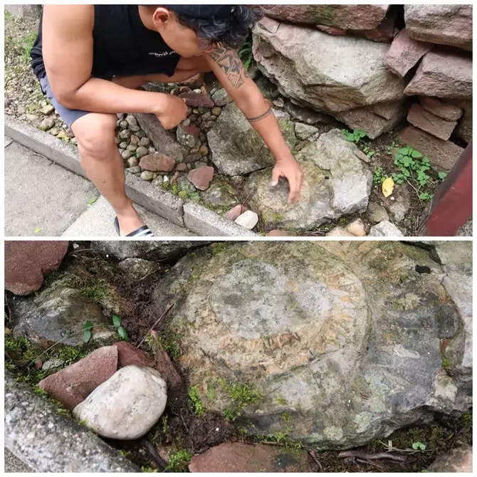 Kisah pria WNI beli rumah di Jerman Rp 7 miliar © YouTube/Kesa Lisa Kisah pria WNI beli rumah di Jerman Rp 7 miliar © YouTube/Kesa Lisa