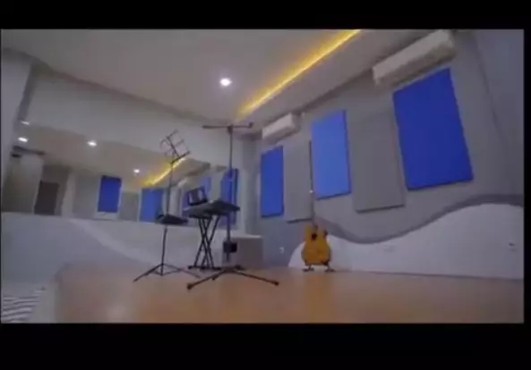 potret studio musik delon © Instagram