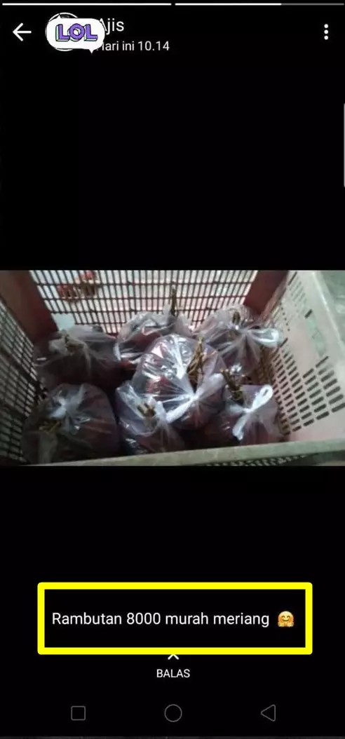 status WA lucu penjual online shop © 2021 instagram.com