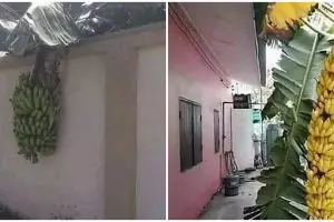 11 Momen lucu ketiban rezeki ini malah absurd abis