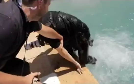 Aksi tak terduga fotografer pernikahan ini mengejutkan Instagram