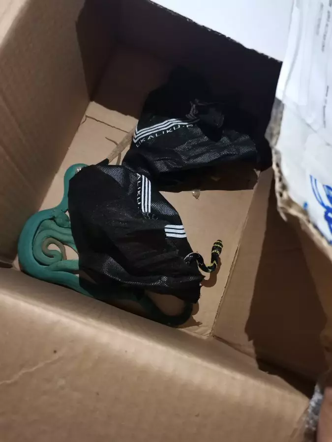 Paket piala isi ular © 2021 Twitter