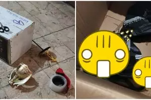 Heboh paket berisi ular berbisa, modus kirim piala ke Inggris