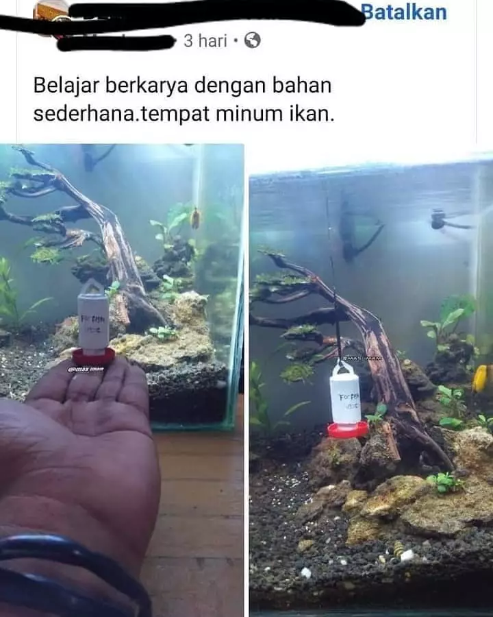 status FB kreativitas bapak-bapak © 2021 instagram.com status FB kreativitas bapak-bapak © 2021 instagram.com