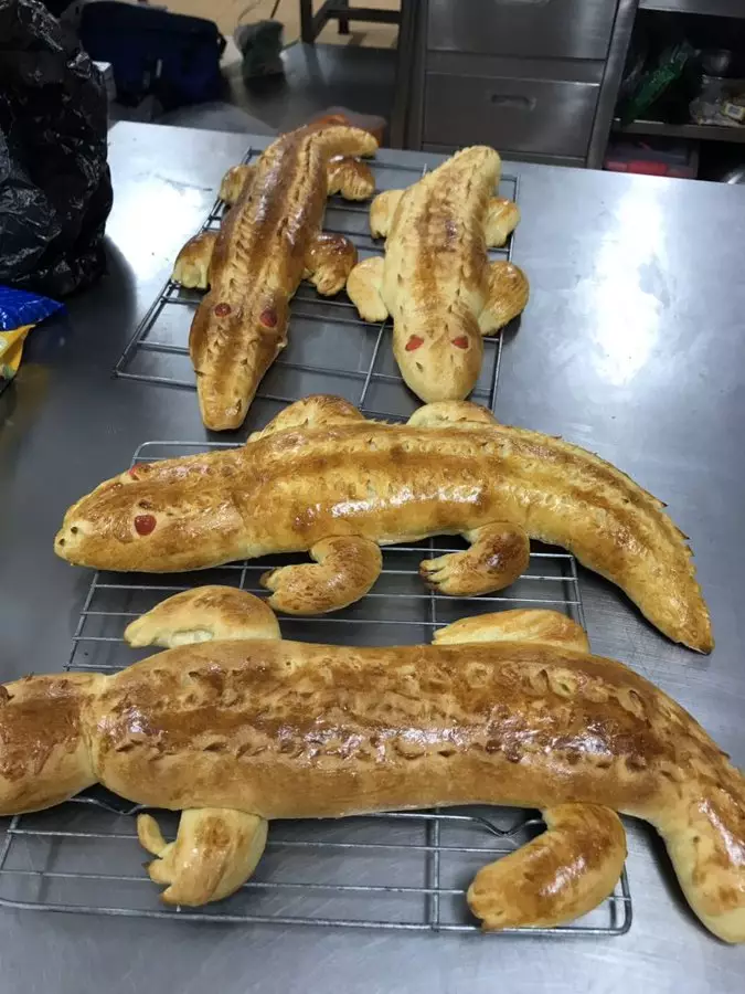 Kreasi roti buaya © berbagai sumber