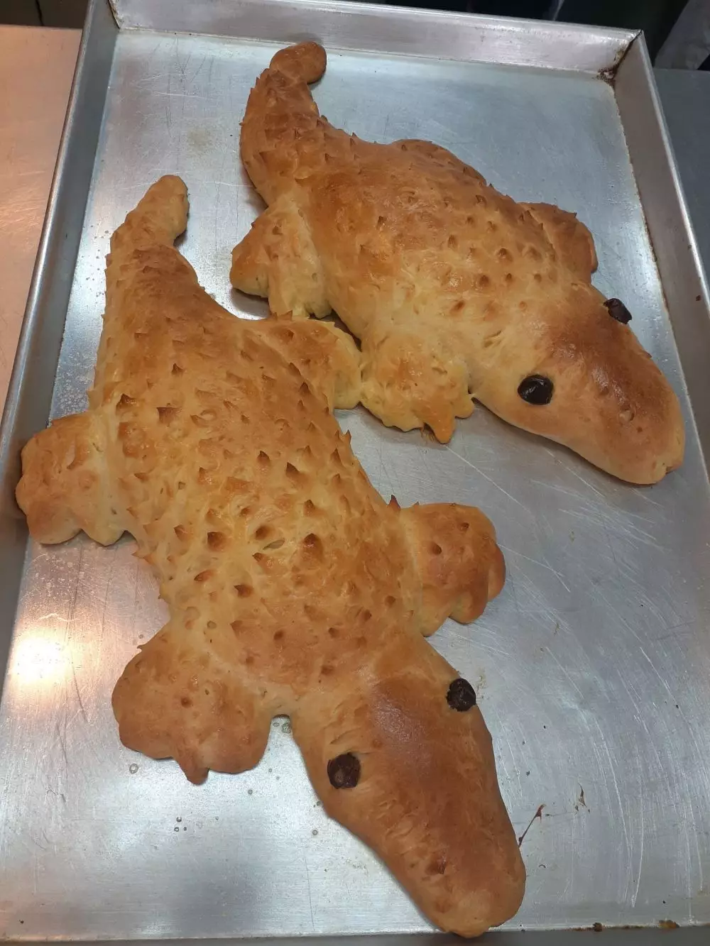 Kreasi roti buaya © berbagai sumber